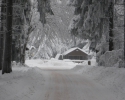 zufahrt_winter
